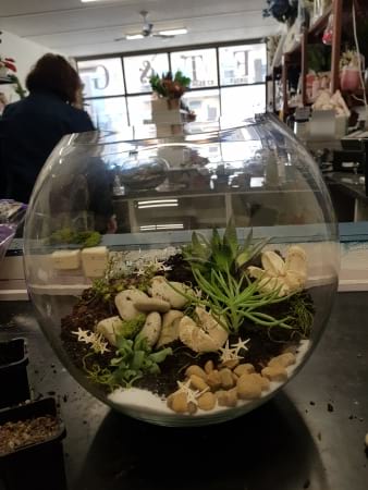Terrarium shop