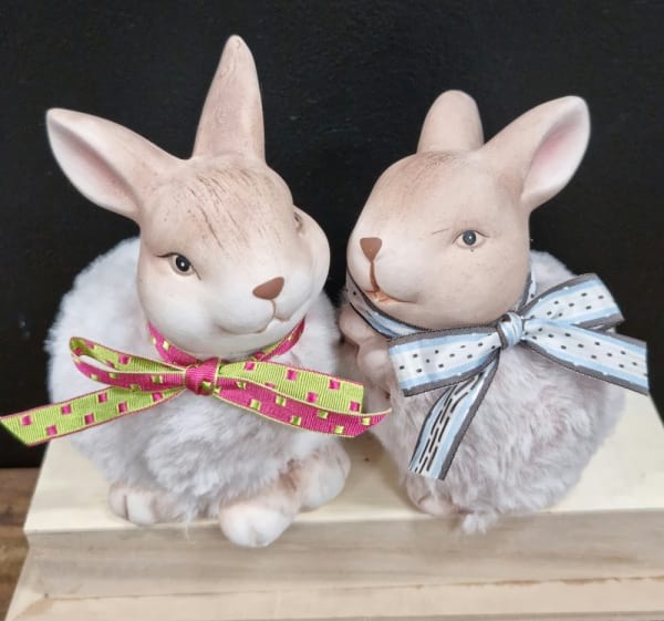 FLopsy & Mopsy Med