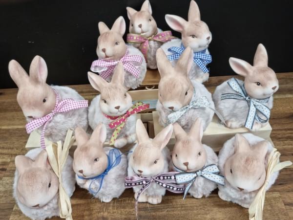 Softee Bunny
