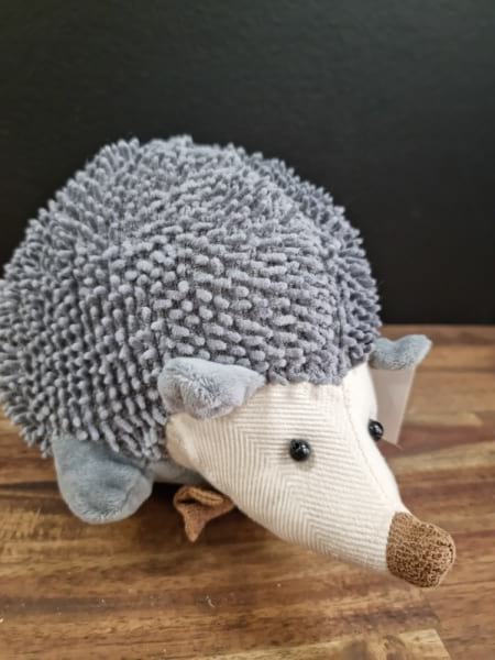 Echidna