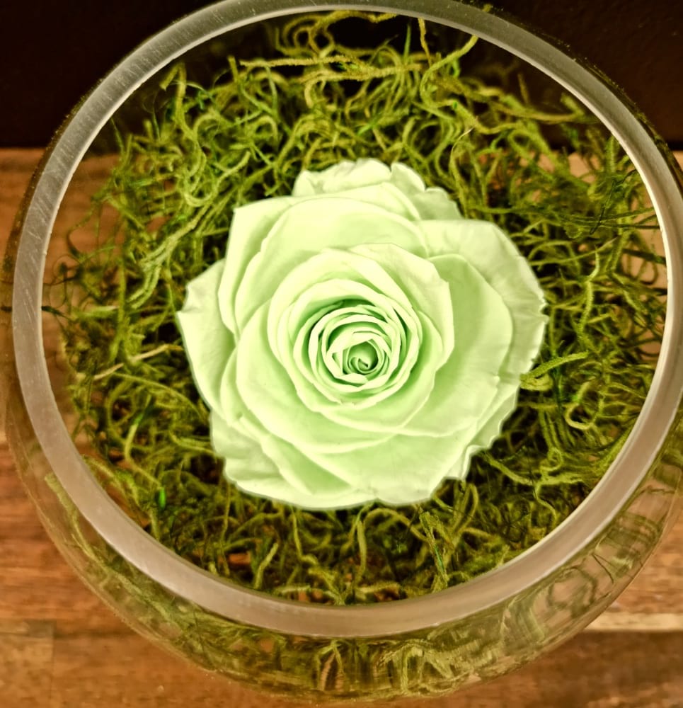 Lime Preserved Rose