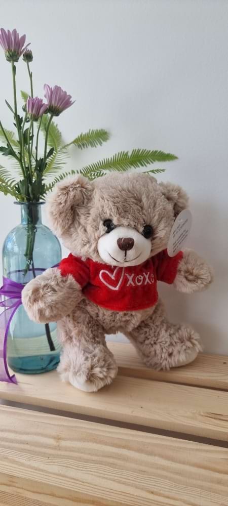xoxo Teddy