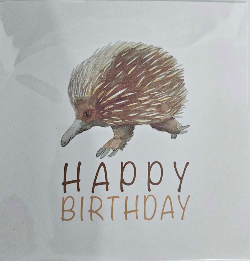 Echidna Happy Birthday Card