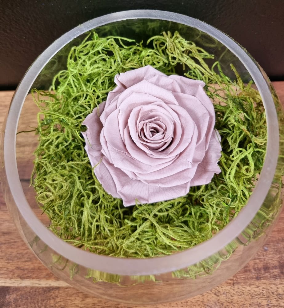 Nude Preserved Rose