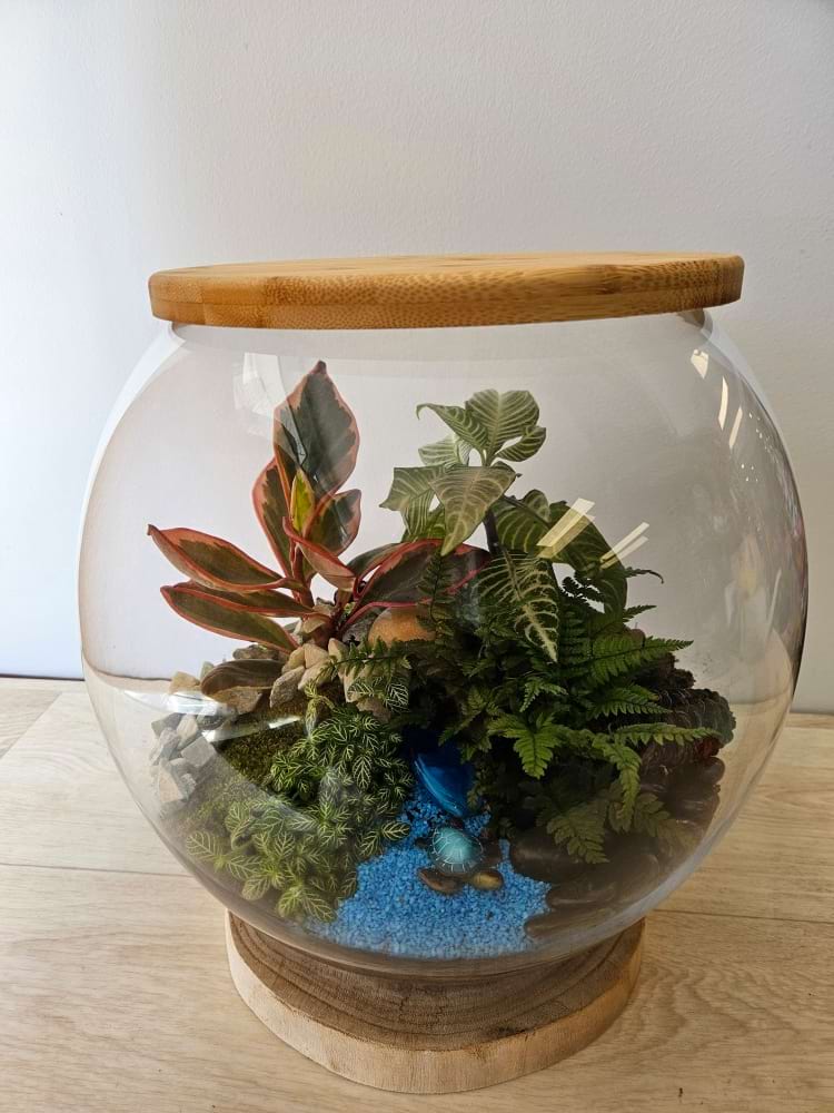 Terrarium Living world