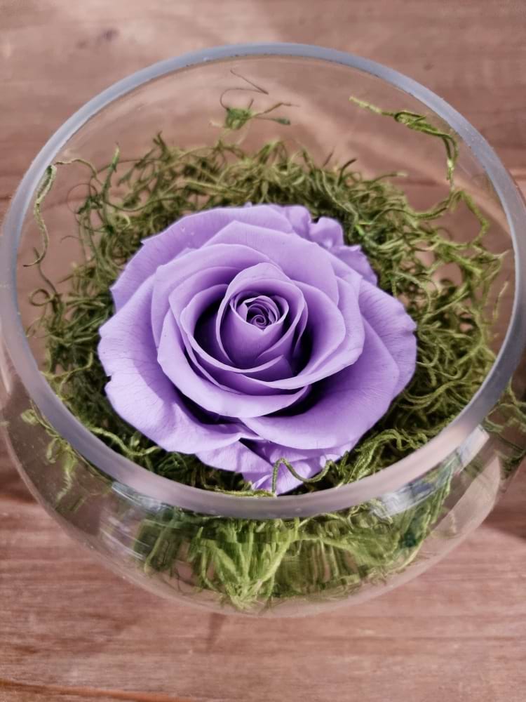 Dusty Lavender Preserved Rose