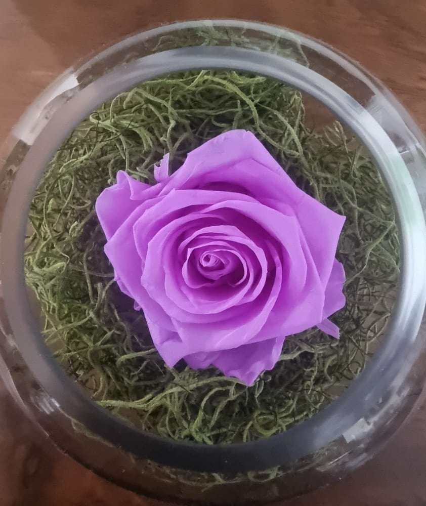 Baby Lily Preserved Rose