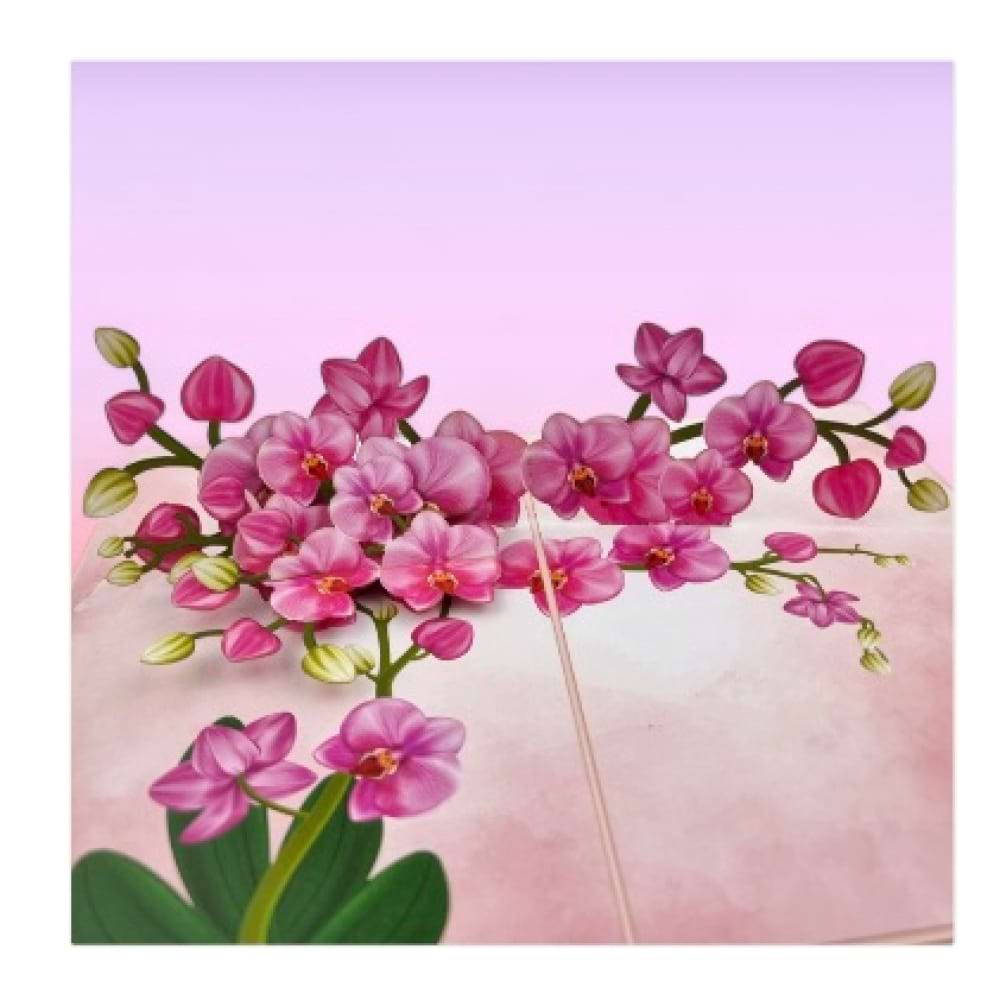 Pink Orchids Pop Up Card