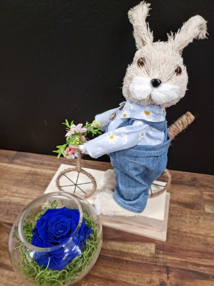 Bicycle Bunny Blue
