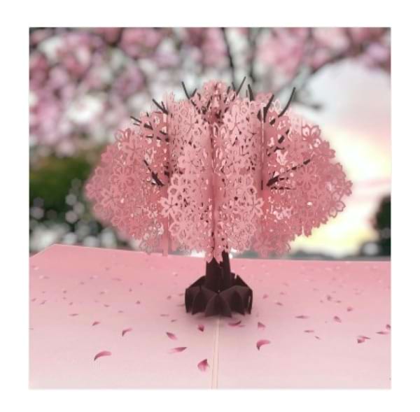 Cherry Blossom Pop Up