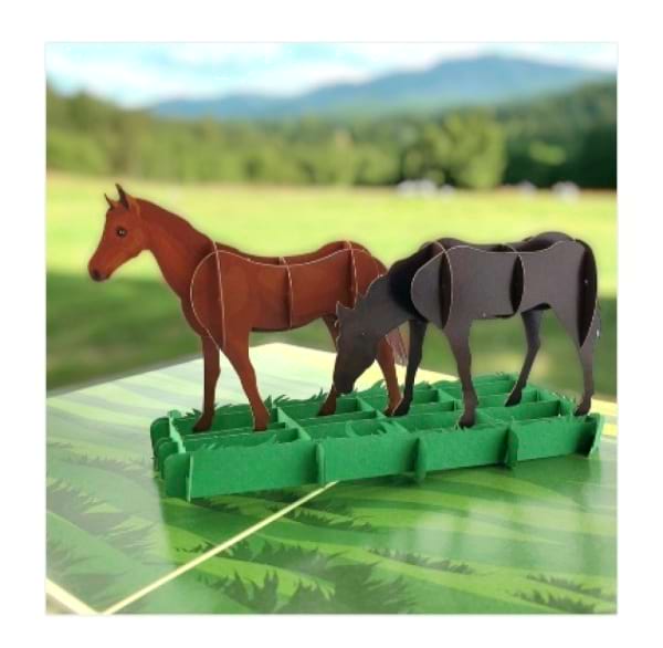 Horse lovers Pop Up 