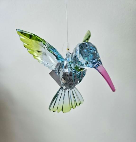 Humming Bird