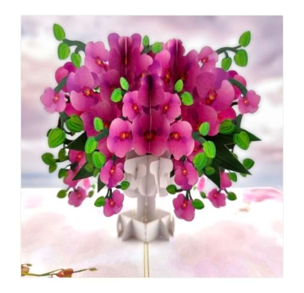 Orchid Vase Pop Up 